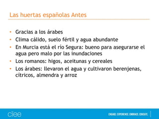 Las huertas españolas Antes 
• Gracias a los árabes 
• Clima cálido, suelo fértil y agua abundante 
• En Murcia está el río Segura: bueno para asegurarse el 
agua pero malo por las inundaciones 
• Los romanos: higos, aceitunas y cereales 
• Los árabes: llevaron el agua y cultivaron berenjenas, 
cítricos, almendra y arroz 
 