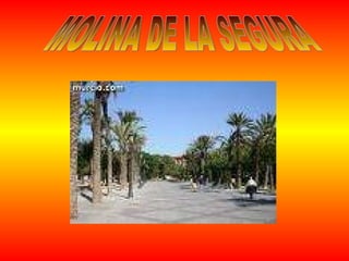 MOLINA DE LA SEGURA 