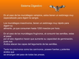 Sistema Digestivo


En el caso de los murciélagos vampiros, estos tienen un estómago muy
especializado para digerir la sangre.

Los murciélagos insectívoros, tienen un estómago muy rápido para
digerir su
alimento, ya que consumen hasta 1200 insectos por hora.

En el caso de los murciélagos frugívoros, al consumir las semillas, estas
al pasar
por el tubo digestivo hacen que aumente su capacidad de germinación,
pues sus
Ácidos atacan las capas del tegumento de las semillas.

Tanto los piscívoros como los carnívoros, poseen fuertes y potentes
ácidos que
se encargan del paso de todas las presas.
 