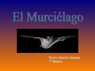 El Murciélago Rocío Garrido Salazar 7º Básico 