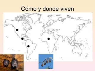 Cómo y donde viven 