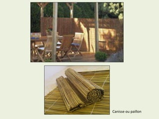 Canisse ou paillon
 