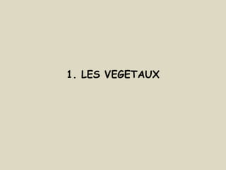 1. LES VEGETAUX
 