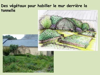 Des végétaux pour habiller le mur derrière la
tonnelle
 