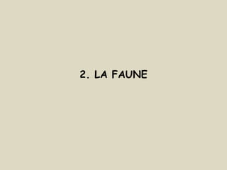 2. LA FAUNE
 