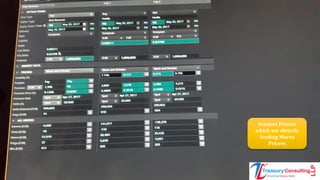 Feeders Pricers
which are directly
feeding Murex
Pricers
 