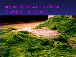 ☻maur GaasaasaazI ]Mca izkaNaacaI jaagaa inavaDavaI
toqao paNaI ijarNaar naahI ASaI AsaavaI.
 