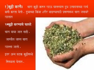 1´ku+I krNaoo : caara ku+I k$na Ka} Gaatlyaasa duQa ]%padnaacyaa Kca-
kmaI krta yaotao. duQaacyaa ikMvaa SarIr vaaZNyaasazI p`maaNabaQd caara janaavaro
Katat
2)ku+I krNyaacao fayado
caara vaayaa jaat naahI,.
 jaastIt jaast caara
Kallaa jaatao.
[tr Anna GaTk ku+ImaQyao
 imasaLta yaotat.
 