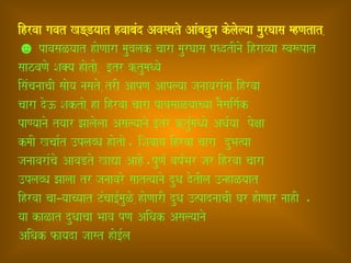ihrvaa gavat K=Dyaat hvaabaMd Avasqato AaMbavauna kolaolyaa maurGaasa mhNatat ,
☻ pavasaLyaat haoNaara maubalak caara maurGaasa pQdtInao ihravyaa sva$pat
saazvaNao Sa@ya haotao, , [tr ?tumaQyao
isaMcanaacaI saaoya nasato ,trI AapNa Aaplyaa janaavaraMnaa ihrvaa
caara do} Saktao ,ha ihrvaa caara pavasaaLyaacyaa naOsaiga-k
paNyaanao tyaar Jaalaolaa Asalyaanao [tr ?tuMmaQyao AQa-yaa poxaa
kmaI Kcaa-t ]plabQa haotao. iSavaaya ihrvaa caara duBa%yaa
janaavaraMcao AavaDto KaVa Aaho,.puNa- vaYa-Bar jar ihrvaa caara
]plabQa Jaalaa tr janaavaro saat%yaanao duQa dotIla ]nhaLyaat
ihrvaa caa–yaacyaat TMcaa[-mauLo ,haoNaarI duQa ]%padnaacaI Gar haoNaar naahI .
yaa kaLat duQaacaa Baava pNa AiQak Asalyaanao
AiQak fayada jaast hao[-la
 