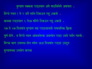 maurGaasa p@kyaa K=Dyaat Asao saazivalaolao Asatat .
ihrvao gavat 1 to 2 vaYao- pya-Mt iTk}na rahu Saktao .
kccyaa K=Dyaat 6 to10 maihnao iTk}na rahu Saktao .
20 to 40 idvasaaMt maurGaasa cyaa K=DyaatlaI rasaayainak iÌyaa
puNa- haoto. va ihrvao gavat AaMbavalaolyaa Avasqaot K=d ]GaDo pya-Mt rahtao.
ihrvaa caara ]plabQa haot nasaola ASaa idvasaaMt K=Da ]GaDuna
maurGaasacyaa ]pyaaoga kravaa
 