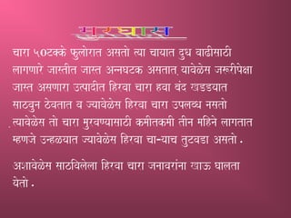 caara 50T@ko fulaaorat Asatao %yaa caayaat duQa vaaZIsaazI
laagaNaaro jaastIt jaast AnnaGaTk Asatat ,yaavaoLosa ja$rIpoxaa
jaast AsaNaara ]%padIt ihrvaa caara hvaa baMd KDDyaat
saazvauna zovatat va jyaavaoLosa ihrvaa caara ]plabQa nasatao
,%yaavaoLosa tao caara maurvaNyaasaazI kmaItkmaI tIna maihnao laagatat
mhNajao ]nhLyaat jyaavaoLosa ihrvaa caa¹yaaca tuTvaDa Asatao.
ASaavaoLosa saazivalaolaa ihrvaa caara janaavaraMnaa Ka} Gaalata
yaotao.
 