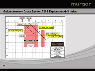 Golden Arrow – Cross Section 700S Exploration drill holes




36
 
