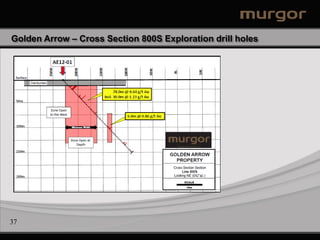 Golden Arrow – Cross Section 800S Exploration drill holes




37
 