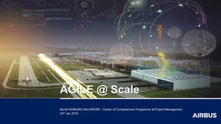 Muriel NOMURA SALVADORI – Center of Competences Programme & Project Management
24th Jan 2019
AGILE @ Scale
 