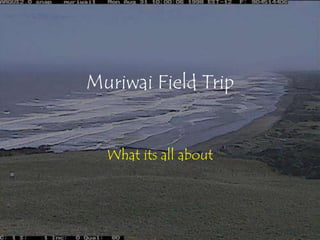 Muriwai Field Trip

What its all about

 