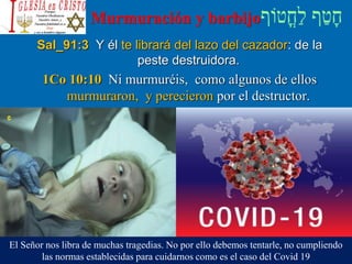 Murmuración y barbijo
Sal_91:3 Y él te librará del lazo del cazador: de la
peste destruidora.
1Co 10:10 Ni murmuréis, como algunos de ellos
murmuraron, y perecieron por el destructor.
El Señor nos libra de muchas tragedias. No por ello debemos tentarle, no cumpliendo
las normas establecidas para cuidarnos como es el caso del Covid 19
 