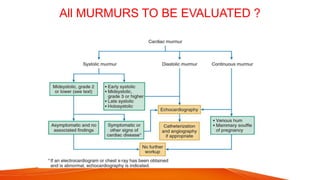 All MURMURS TO BE EVALUATED ?
 