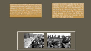 El muro fue levantado y durante 30 años
aproximadamente desunió la ciudad y
Alemania en su totalidad. Muchas
personas murieron en el intento de
cruzarlo, puesto que familias enteras
fueron separadas y querían reunirse.
Cuando la misma gente de la zona
oriental quiso unificarse de nuevo,
cogieron todo lo que encontraron y
empezaron a destruir el muro. Desde
entonces y hasta ahora las dos partes
están unidas y el muro de Berlín ha
quedado sólo como un recuerdo de lo
que fue y de lugar turístico.
 