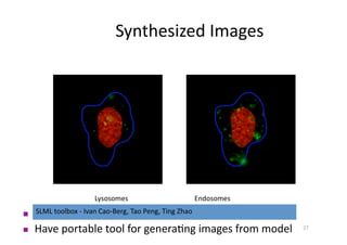 Synthesized Images 




                      Lysosomes                         Endosomes 

     Have XML design for captu...