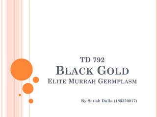 BLACK GOLD
ELITE MURRAH GERMPLASM
By Satish Dulla (183350017)
TD 792
 