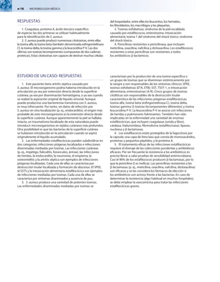 e-16  MICROBIOLOGÍA MÉDICA
RESPUESTAS
1.	Coagulasa, proteína A, ácido teicoico específico
de especie; las dos primeras se utilizan habitualmente
para la identificación de S. aureus.
2.	S. aureus puede producir numerosas citotoxinas, entre ellas
la toxina alfa, la toxina beta (también denominada esfingomielinasa
C), la toxina delta, la toxina gamma y la leucocidina P-V. Las dos
últimas son toxinas bicomponentes (compuestas de dos cadenas
proteicas). Estas citotoxinas son capaces de destruir muchas células
del hospedador, entre ellas los leucocitos, los hematíes,
los fibroblastos, los macrófagos y las plaquetas.
3.	Toxinas exfoliativas: síndrome de la piel escaldada
causado por estafilococos; enterotoxina: intoxicación
alimentaria; toxina 1 del síndrome del shock tóxico: síndrome
del shock tóxico.
4.	Penicilinas resistentes a penicilinasa, que incluyen
meticilina, oxacilina, nafcilina y dicloxacilina. Los estafilococos
resistentes a estas penicilinas son resistentes a todos
los antibióticos b-lactámicos.
ESTUDIO DE UN CASO: RESPUESTAS
1.	 Este paciente tiene artritis séptica causada por
S. aureus. El microorganismo podría haberse introducido en la
articulación ya sea por extensión directa desde la superficie
cutánea, ya sea por diseminación hematógena, o ya sea cuando
se realizó la aspiración original de líquido sinovial. Aunque
puede producirse una bacteriemia transitoria con S. aureus,
es muy infrecuente. Por tanto, sin datos de infección por
S. aureus en otra localización (p. ej., endocarditis), el origen más
probable de este microorganismo es la extensión directa desde
la superficie cutánea. Aunque aparentemente la piel se hallaba
intacta, un traumatismo localizado de esta naturaleza puede
introducir microorganismos en tejidos cutáneos más profundos.
Otra posibilidad es que las bacterias de la superficie cutánea
se hubiesen introducido en la articulación cuando se aspiró
originalmente el líquido acumulado.
2.	 Las enfermedades estafilocócicas pueden subdividirse en
dos categorías: infecciones piógenas localizadas e infecciones
diseminadas mediadas por toxinas. Las infecciones cutáneas
(p. ej., impétigo, foliculitis, forúnculos, ántrax), las infecciones
de heridas, la endocarditis, la neumonía, el empiema, la
osteomielitis y la artritis séptica son ejemplos de infecciones
piógenas localizadas. Cada una de ellas se caracteriza por
destrucción tisular localizada y formación de abscesos. El SPEE,
el SSTS y la intoxicación alimentaria estafilocócica son ejemplos
de infecciones mediadas por toxinas. Cada una de ellas se
caracteriza por síntomas diseminados y ausencia de pus.
3.	 S. aureus produce una variedad de potentes toxinas.
Las enfermedades diseminadas mediadas por toxinas se
caracterizan por la producción de una toxina específica o
un grupo de toxinas que se diseminan sistémicamente por
la sangre y son responsables de los síntomas clínicos: SPEE,
toxinas exfoliativas (ETA, ETB); SST, TSST-1, e intoxicación
alimentaria, enterotoxinas (A-R). Cinco grupos de toxinas
citolíticas son responsables de la destrucción tisular
característica de las infecciones piógenas estafilocócicas:
toxina alfa, toxina beta (esfingomielinasa C), toxina delta,
toxinas gamma (5 toxinas bicomponentes diferentes) y toxina
leucocidina P-V. La leucocidina P-V se asocia con infecciones
de heridas y pulmonares fulminantes. También han sido
implicadas en la enfermedad una variedad de enzimas
estafilocócicas, que incluyen coagulasas (unida y libre),
catalasa, hialuronidasa, fibrinolisina (estafilocinasa), lipasas,
nucleasa y b-lactamasas.
4.	 Los estafilococos están protegidos de la fagocitosis por
la cápsula; una capa de limo laxa que consta de monosacáridos,
proteínas y pequeños péptidos, y la proteína A.
5.	 El tratamiento eficaz de las infecciones estafilocócicas
requiere el drenaje de las colecciones purulentas y antibióticos
eficaces. Por ser frecuente la resistencia a los antibióticos es
preciso llevar a cabo pruebas de sensibilidad antimicrobiana.
Casi el 90% de los estafilococos producen b-lactamasas, por lo
que la penicilina G es ineficaz. Las penicilinas resistentes a las
b-lactamasas (p. ej., meticilina, oxacilina, nafcilina, dicloxacilina)
son eficaces y se las considera los fármacos de elección si
los antibióticos son activos frente a las bacterias. En caso de
determinar la resistencia (algo habitual en muchos hospitales),
se debe emplear la vancomicina para tratar las infecciones
estafilocócicas graves.
 