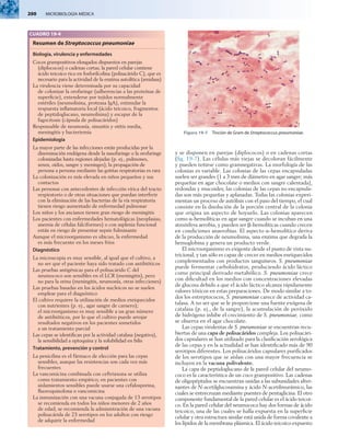 200  MICROBIOLOGÍA MÉDICA
y se disponen en parejas (diplococos) o en cadenas cortas
(fig. 19-7). Las células más viejas se decoloran fácilmente
y pueden teñirse como gramnegativas. La morfología de las
colonias es variable. Las colonias de las cepas encapsuladas
suelen ser grandes (1 a 3 mm de diámetro en agar sangre; más
pequeñas en agar chocolate o medios con sangre calentada),
redondas y mucoides; las colonias de las cepas no encapsula-
das son más pequeñas y aplanadas. Todas las colonias experi-
mentan un proceso de autólisis con el paso del tiempo, el cual
consiste en la disolución de la porción central de la colonia
que origina un aspecto de hoyuelo. Las colonias aparecen
como a-hemolíticas en agar sangre cuando se incuban en una
atmósfera aerobia, y pueden ser b-hemolíticas cuando crecen
en condiciones anaerobias. El aspecto a-hemolítico deriva
de la producción de neumolisina, una enzima que degrada la
hemoglobina y genera un producto verde.
El microorganismo es exigente desde el punto de vista nu-
tricional, y tan sólo es capaz de crecer en medios enriquecidos
complementados con productos sanguíneos. S. pneumoniae
puede fermentar carbohidratos, produciendo ácido láctico
como principal derivado metabólico. S. pneumoniae crece
con dificultad en los medios con concentraciones elevadas
de glucosa debido a que el ácido láctico alcanza rápidamente
valores tóxicos en estas preparaciones. De modo similar a to-
dos los estreptococos, S. pneumoniae carece de actividad ca-
talasa. A no ser que se le proporcione una fuente exógena de
catalasa (p. ej., de la sangre), la acumulación de peróxido
de hidrógeno inhibe el crecimiento de S. pneumoniae, como
se observa en el agar chocolate.
Las cepas virulentas de S. pneumoniae se encuentran recu-
biertas de una capa de polisacáridos compleja. Los polisacári-
dos capsulares se han utilizado para la clasificación serológica
de las cepas y en la actualidad se han identificado más de 90
serotipos diferentes. Los polisacáridos capsulares purificados
de los serotipos que se aíslan con una mayor frecuencia se
incluyen en la vacuna polivalente.
La capa de peptidoglucano de la pared celular del neumo-
coco es la característica de un coco grampositivo. Las cadenas
de oligopéptidos se encuentran unidas a las subunidades alter-
nantes de N-acetilglucosamina y ácido N-acetilmurámico, las
cuales se entrecruzan mediante puentes de pentaglicina. El otro
componente fundamental de la pared celular es el ácido teicoi-
co. En la pared celular del neumococo hay dos formas de ácido
teicoico, una de las cuales se halla expuesta en la superficie
celular y otra estructura similar está unida de forma covalente a
los lípidos de la membrana plásmica. El ácido teicoico expuesto
CUADRO 19-4
Resumen de Streptococcus pneumoniae
Biología, virulencia y enfermedades
Cocos grampositivos elongados dispuestos en parejas
(diplococos) o cadenas cortas; la pared celular contiene
ácido teicoico rico en fosforilcolina (polisacárido C), que es
necesario para la actividad de la enzima autolítica (amidasa)
La virulencia viene determinada por su capacidad
de colonizar la orofaringe (adherencias a las proteínas de
superficie), extenderse por tejidos normalmente
estériles (neumolisina, proteasa IgA), estimular la
respuesta inflamatoria local (ácido teicoico, fragmentos
de peptidoglucano, neumolisina) y escapar de la
fagocitosis (cápsula de polisacáridos)
Responsable de neumonía, sinusitis y otitis media,
meningitis y bacteriemia
Epidemiología
La mayor parte de las infecciones están producidas por la
diseminación endógena desde la nasofaringe o la orofaringe
colonizadas hasta regiones alejadas (p. ej., pulmones,
senos, oídos, sangre y meninges); la propagación de
persona a persona mediante las gotitas respiratorias es rara
La colonización es más elevada en niños pequeños y sus
contactos
Las personas con antecedentes de infección vírica del tracto
respiratorio o de otras situaciones que puedan interferir
con la eliminación de las bacterias de la vía respiratoria
tienen riesgo aumentado de enfermedad pulmonar
Los niños y los ancianos tienen gran riesgo de meningitis
Los pacientes con enfermedades hematológicas (neoplasias,
anemia de células falciformes) o con asplenia funcional
están en riesgo de presentar sepsis fulminante
Aunque el microorganismo es ubicuo, la enfermedad
es más frecuente en los meses fríos
Diagnóstico
La microscopia es muy sensible, al igual que el cultivo, a
no ser que el paciente haya sido tratado con antibióticos
Las pruebas antigénicas para el polisacárido C del
neumococo son sensibles en el LCR (meningitis), pero
no para la orina (meningitis, neumonía, otras infecciones)
Las pruebas basadas en los ácidos nucleicos no se suelen
emplear para el diagnóstico
El cultivo requiere la utilización de medios enriquecidos
con nutrientes (p. ej., agar sangre de carnero);
el microorganismo es muy sensible a un gran número
de antibióticos, por lo que el cultivo puede arrojar
resultados negativos en los pacientes sometidos
a un tratamiento parcial
Las cepas se identifican por la actividad catalasa (negativa),
la sensibilidad a optoquina y la solubilidad en bilis
Tratamiento, prevención y control
La penicilina es el fármaco de elección para las cepas
sensibles, aunque las resistencias son cada vez más
frecuentes
La vancomicina combinada con ceftriaxona se utiliza
como tratamiento empírico; en pacientes con
aislamientos sensibles puede usarse una cefalosporina,
fluoroquinolona o vancomicina
La inmunización con una vacuna conjugada de 13 serotipos
se recomienda en todos los niños menores de 2 años
de edad; se recomienda la administración de una vacuna
polisacárida de 23 serotipos en los adultos con riesgo
de adquirir la enfermedad
Figura 19-7 Tinción de Gram de Streptococcus pneumoniae.
 