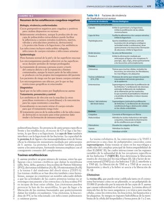 STAPHYLOCOCCUS Y COCOS GRAMPOSITIVOS RELACIONADOS   177
©
Elsevier.
Fotocopiar
sin
autorización
es
un
delito.
polimorfonucleares. En presencia de anticuerpos específicos
frente a los estafilococos, el exceso de C3 se liga a las bac-
terias, lo que lleva a su fagocitosis. La capa de limo también
interfiere con la fagocitosis de las bacterias. La capacidad de
la proteína A de ligarse a las inmunoglobulinas evita de forma
eficaz la eliminación inmunitaria mediada por anticuerpos
de S. aureus. La proteína A extracelular también puede
unirse a los anticuerpos, formando inmunocomplejos con el
consiguiente consumo del complemento.
Toxinas estafilocócicas
S. aureus produce un gran número de toxinas, entre las que
figuran cinco toxinas citolíticas que dañan la membrana
(alfa, beta, delta, gamma y leucocidina de Panton-Valentine
[P-V]),dostoxinasexfoliativas(AyB),18enterotoxinas(AaR)
y la toxina-1 del síndrome del shock tóxico (TSST-1).
Las toxinas citolíticas se han descrito también como hemo-
lisinas, aunque no constituye un nombre adecuado debido
a que las actividades de las cuatro primeras toxinas no se
restringen únicamente a los eritrocitos y la leucocidina P-V
es incapaz de lisar estas células. Las citotoxinas pueden
provocar la lisis de los neutrófilos, lo que da lugar a la
liberación de las enzimas lisosomales que posteriormente
dañan los tejidos circundantes. Una citotoxina, la leucoci-
dina de P-V, se ha relacionado con infecciones pulmonares
y cutáneas graves.
La toxina exfoliativa A, las enterotoxinas y la TSST-1
pertenecen a una clase de polipéptidos conocidos como
superantígenos. Estas toxinas se unen en los macrófagos a
moléculas del complejo principal de histocompatibilidad de
clase II (MHC II), las cuales interaccionan con las regiones
variables de la subunidad b de los receptores específicos
de los linfocitos T (VbTCR). Esto determina la liberación
masiva de citocinas por los macrófagos (IL-1b y factor de ne-
crosis tumoral ([TNF]) a) y los linfocitos T (IL-2, interferón g
y TNF-b). La liberación de TNF-a y TNF-b se asocia a
hipotensión y shock y la fiebre se asocia a la liberación de
IL-1b.
Citotoxinas
La toxina alfa, que puede estar codificada tanto en el cromo-
soma bacteriano como en un plásmido, es un polipéptido de
33.000 D producido por la mayoría de las cepas de S. aureus
que causan enfermedad en el ser humano. La toxina altera el
músculo liso de los vasos sanguíneos y es tóxica para muchas
células, como los eritrocitos, los leucocitos, los hepatocitos y
las plaquetas. Se integra en regiones hidrofóbicas de la mem-
brana de la célula del hospedador y forma poros de 1 a 2 nm.
CUADRO 18-2
Resumen de los estafilococos coagulasa-negativos
Biología, virulencia y enfermedades
Cocos grampositivos negativos para coagulasa y positivos
para catalasa dispuestos en racimos
Relativamente avirulentos, aunque la producción de una
capa de polisacáridos extracelulares puede facilitar
la adherencia a cuerpos extraños (catéteres, injertos,
válvulas y articulaciones protésicas, derivaciones)
y la protección frente a la fagocitosis y los antibióticos
Las infecciones incluyen endocarditis subaguda,
infecciones de cuerpos extraños e infecciones urinarias
Epidemiología
Flora humana normal de la piel y de las superficies mucosas
Los microorganismos pueden sobrevivir en las superficies
secas durante períodos de tiempo prolongados
La transmisión de persona a persona ocurre a través
del contacto directo o de la exposición a fómites
contaminados, aunque la mayor parte de las infecciones
se producen con los propios microorganismos del paciente
Los pacientes de riesgo son los que tienen cuerpos extraños
Los microorganismos son ubicuos, por lo que no hay
restricciones geográficas ni estacionales
Diagnóstico
Igual que en las infecciones por Staphylococcus aureus
Tratamiento, prevención y control
Los antibióticos de elección son la oxacilina (u otras
penicilinas resistentes a la penicilinasa) o la vancomicina
para las cepas resistentes a oxacilina
Generalmente es necesario retirar el cuerpo extraño
para que el tratamiento tenga éxito
El tratamiento precoz de la endocarditis o de las infecciones
de derivación es necesario para evitar posterior daño
tisular o la formación de inmunocomplejos
Tabla 18-3  Factores de virulencia
de Staphylococcus aureus
Factores de virulencia Efectos biológicos
Componentes estructurales
Cápsula Inhibe la quimiotaxis y la fagocitosis;
inhibe la proliferación de las células
mononucleares
Capa de limo Facilita la adherencia a los cuerpos extraños;
inhibe la fagocitosis
Peptidoglucanos Aporta estabilidad osmótica; estimula
la producción de pirógeno endógeno
(actividad similar a endotoxina); atrae
químicamente a los leucocitos (formación
de abscesos); inhibe la fagocitosis
Ácido teicoico Se une a la fibronectina
Proteína A Inhibe la eliminación mediada por
anticuerpos al ligarse a los receptores Fc
para IgG1, IgG2 e IgG4; atrae químicamente
a los leucocitos; anticomplemento
Toxinas
Citotoxinas Tóxicas para muchas células, incluidos los
leucocitos, los eritrocitos, los fibroblastos,
los macrófagos y las plaquetas
Toxinas exfoliativas
(ETA, ETB)
Proteasas de serina que rompen los puentes
intercelulares del estrato granuloso
de la epidermis
Enterotoxinas Superantígenos (estimulan la proliferación de
los linfocitos T y la liberación de citocinas);
estimulan la liberación de mediadores
de la inflamación por los mastocitos,
lo que aumenta el peristaltismo intestinal
y la pérdida de líquidos e induce náuseas
y vómitos
Toxina 1 del síndrome
del shock tóxico
Superantígeno (estimula la proliferación
de linfocitos T y la liberación de citocinas);
condiciona la fuga o destrucción celular
en las células endoteliales
Enzimas
Coagulasa Convierte el fibrinógeno en fibrina
Hialuronidasa Hidroliza los ácidos hialurónicos del tejido
conjuntivo, induciendo la diseminación
de los estafilococos por el tejido
Fibrinolisina Disuelve los coágulos de fibrina
Lipasas Hidrolizan los lípidos
Nucleasas Hidrolizan el ADN
 