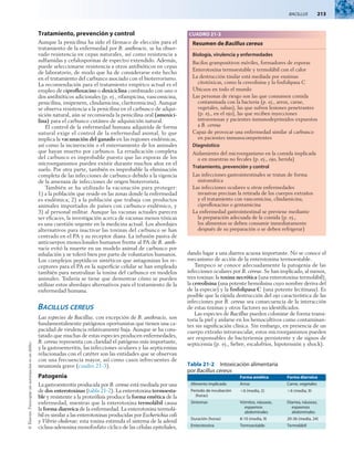 BACILLUS  213
©
Elsevier.
Fotocopiar
sin
autorización
es
un
delito.
Tratamiento, prevención y control
Aunque la penicilina ha sido el fármaco de elección para el
tratamiento de la enfermedad por B. anthracis, se ha obser-
vado resistencia en cepas naturales, así como resistencia a
sulfamidas y cefalosporinas de espectro extendido. Además,
puede seleccionarse resistencia a otros antibióticos en cepas
de laboratorio, de modo que ha de considerarse este hecho
en el tratamiento del carbunco asociado con el bioterrorismo.
La recomendación para el tratamiento empírico actual es el
empleo de ciprofloxacino o doxiciclina combinado con uno o
dos antibióticos adicionales (p. ej., rifampicina, vancomicina,
penicilina, imipenem, clindamicina, claritromicina). Aunque
se observa resistencia a la penicilina en el carbunco de adqui-
sición natural, aún se recomienda la penicilina oral (amoxici-
lina) para el carbunco cutáneo de adquisición natural.
El control de la enfermedad humana adquirida de forma
natural exige el control de la enfermedad animal, lo que
implica la vacunación del ganado en las regiones endémicas,
así como la incineración o el enterramiento de los animales
que hayan muerto por carbunco. La erradicación completa
del carbunco es improbable puesto que las esporas de los
microorganismos pueden existir durante muchos años en el
suelo. Por otra parte, también es improbable la eliminación
completa de las infecciones de carbunco debido a la vigencia
de la amenaza de infecciones de origen bioterrorista.
También se ha utilizado la vacunación para proteger:
1) a la población que reside en las zonas donde la enfermedad
es endémica; 2) a la población que trabaja con productos
animales importados de países con carbunco endémico, y
3) al personal militar. Aunque las vacunas actuales parecen
ser eficaces, la investigación acerca de vacunas menos tóxicas
es una cuestión urgente en la medicina actual. Los abordajes
alternativos para inactivar las toxinas del carbunco se han
centrado en el PA y su receptor diana. La infusión pasiva de
anticuerpos monoclonales humanos frente al PA de B. anth­
racis evitó la muerte en un modelo animal de carbunco por
inhalación y se toleró bien por parte de voluntarios humanos.
Los complejos peptídicos sintéticos que antagonizan los re-
ceptores para el PA en la superficie celular se han empleado
también para neutralizar la toxina del carbunco en modelos
animales. Todavía se tiene que demostrar cómo se pueden
utilizar estos abordajes alternativos para el tratamiento de la
enfermedad humana.
Bacillus cereus
Las especies de Bacillus, con excepción de B. anthracis, son
fundamentalmente patógenos oportunistas que tienen una ca-
pacidad de virulencia relativamente baja. Aunque se ha cons-
tatado que muchas de estas especies producen enfermedades,
B. cereus representa con claridad el patógeno más importante,
y la gastroenteritis, las infecciones oculares y las septicemias
relacionadas con el catéter son las entidades que se observan
con una frecuencia mayor, así como casos infrecuentes de
neumonía grave (cuadro 21-3).
Patogenia
La gastroenteritis producida por B. cereus está mediada por una
de dos enterotoxinas (tabla 21-2). La enterotoxina termoesta-
ble y resistente a la proteólisis produce la forma emética de la
enfermedad, mientras que la enterotoxina termolábil causa
la forma diarreica de la enfermedad. La enterotoxina termolá-
bil es similar a las enterotoxinas producidas por Escherichia coli
y Vibrio cholerae; esta toxina estimula el sistema de la adenil
ciclasa-adenosina monofosfato cíclico de las células epiteliales,
dando lugar a una diarrea acuosa importante. No se conoce el
mecanismo de acción de la enterotoxina termoestable.
Tampoco se conoce adecuadamente la patogenia de las
infecciones oculares por B. cereus. Se han implicado, al menos,
tres toxinas: la toxina necrótica (una enterotoxina termolábil),
la cereolisina (una potente hemolisina cuyo nombre deriva del
de la especie) y la fosfolipasa C (una potente lecitinasa). Es
posible que la rápida destrucción del ojo característica de las
infecciones por B. cereus sea consecuencia de la interacción
de estas toxinas y otros factores no identificados.
Las especies de Bacillus pueden colonizar de forma transi-
toria la piel y aislarse en los hemocultivos como contaminan-
tes sin significación clínica. Sin embargo, en presencia de un
cuerpo extraño intravascular, estos microorganismos pueden
ser responsables de bacteriemia persistente y de signos de
septicemia (p. ej., fiebre, escalofríos, hipotensión y shock).
CUADRO 21-3
Resumen de Bacillus cereus
Biología, virulencia y enfermedades
Bacilos grampositivos móviles, formadores de esporas
Enterotoxina termoestable y termolábil con el calor
La destrucción tisular está mediada por enzimas
citotóxicas, como la cereolisina y la fosfolipasa C
Ubicuos en todo el mundo
Las personas de riesgo son las que consumen comida
contaminada con la bacteria (p. ej., arroz, carne,
vegetales, salsas), las que sufren lesiones penetrantes
(p. ej., en el ojo), las que reciben inyecciones
intravenosas y pacientes inmunodeprimidos expuestos
a B. cereus
Capaz de provocar una enfermedad similar al carbunco
en pacientes inmunocompetentes
Diagnóstico
Aislamiento del microorganismo en la comida implicada
o en muestras no fecales (p. ej., ojo, herida)
Tratamiento, prevención y control
Las infecciones gastrointestinales se tratan de forma
sintomática
Las infecciones oculares u otras enfermedades
invasivas precisan la retirada de los cuerpos extraños
y el tratamiento con vancomicina, clindamicina,
ciprofloxacino o gentamicina
La enfermedad gastrointestinal se previene mediante
la preparación adecuada de la comida (p. ej.,
los alimentos se deben consumir inmediatamente
después de su preparación o se deben refrigerar)
Tabla 21-2  Intoxicación alimentaria
por Bacillus cereus
Forma emética Forma diarreica
Alimento implicado Arroz Carne, vegetales
Período de incubación
(horas)
<6 (media, 2) >6 (media, 9)
Síntomas Vómitos, náuseas,
espasmos
abdominales
Diarrea, náuseas,
espasmos
abdominales
Duración (horas) 8-10 (media, 9) 20-36 (media, 24)
Enterotoxina Termoestable Termolábil
 