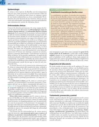 214  MICROBIOLOGÍA MÉDICA
Epidemiología
B. cereus y otras especies de Bacillus son microorganismos
ubicuos que están presentes en prácticamente todos los
ambientes. Casi todas las infecciones se originan a partir
de una fuente ambiental (p. ej., tierra contaminada). El ais-
lamiento de estas bacterias de las muestras clínicas sin que
exista una enfermedad característica representa generalmente
una contaminación carente de relevancia clínica.
Enfermedades clínicas
Como se ha descrito previamente, B. cereus origina dos for-
mas de intoxicación alimentaria: la enfermedad que cursa con
vómitos (forma emética) y la enfermedad diarreica (forma
diarreica). En la mayoría de los pacientes, la forma emética
se debe al consumo de arroz contaminado. La mayor parte de
las bacterias muere durante la cocción inicial del arroz, pero
las esporas termorresistentes son capaces de sobrevivir. Las
esporas germinan cuando el arroz cocido no se refrigera, y las
bacterias se pueden multiplicar rápidamente. La enterotoxina
termoestable que se libera no se destruye al calentar de nuevo
el arroz. La forma emética de la enfermedad es una intoxi-
cación, que se debe a la ingesta de la enterotoxina, no de la
bacteria. Por tanto, tras un período corto de incubación de
1 a 6 horas, aparece una enfermedad de corta duración
(menos de 24 horas). Los síntomas consisten en vómitos,
náuseas y espasmos abdominales. Generalmente no provoca
fiebre ni diarrea. Se ha asociado, igualmente, a la aparición de
insuficiencia hepática fulminante con el consumo de comida
contaminada con grandes cantidades de toxina emética, la
cual altera el metabolismo mitocondrial de los ácidos grasos.
Afortunadamente, puede decirse que se trata de una com-
plicación rara.
La forma diarreica de la intoxicación alimentaria por
B. cereus es consecuencia del consumo de carne, verduras o
salsas contaminadas. Se observa un período de incubación
más prolongado, durante el cual los microorganismos se
multiplican en el aparato digestivo del paciente y sigue la
liberación de la enterotoxina termolábil. Esta enterotoxina
origina diarrea, náuseas y espasmos abdominales. Esta forma
de enfermedad se prolonga generalmente a lo largo de 1 o
más días.
Las infecciones oculares por B. cereus se contraen gene-
ralmente con posterioridad a una lesión penetrante y trau-
mática del ojo con un objeto contaminado del suelo (caso
clínico 21-2). La panoftalmitis por Bacillus es un proceso
de progresión rápida que en casi todos los casos termina con
la pérdida completa de la percepción de la luz durante las
48 horas siguientes a la lesión. Los consumidores de drogas por
vía parenteral pueden contraer también infecciones disemi­
nadas con manifestaciones oculares.
Otras infecciones comunes por B. cereus y otras es-
pecies de Bacillus son las infecciones de los catéteres y de
las derivaciones del sistema nervioso central, la endocarditis
(más frecuente en drogodependientes por vía parenteral),
así como la neumonitis, la bacteriemia y la meningitis en
pacientes afectados por inmunodepresión grave. También se
ha publicado que la ingesta de té por los pacientes inmunode-
primidos se asocia a un aumento del riesgo de enfermedad
invasiva por B. cereus.
Una forma rara de enfermedad por B. cereus merece
especial atención: una neumonía grave que se parece al
carbunco en pacientes inmunodeprimidos. Se han publi-
cado cuatro casos de pacientes con esta enfermedad, todos
ellos trabajadores de la industria del metal y que residían en
Texas o Lousiana, que sufrieron esta enfermedad. El aspecto
más interesante es que estas cepas contenían los genes de la
toxina pXO1 de B. anthracis y todos ellos estaban encap-
sulados, aunque no se correspondía con la cápsula de ácido
poli-g-d-glutámico de B. anthracis. Estas cepas suponen un
riesgo potencial y parece que pueden facilitar la transferencia
de los genes de virulencia de B. anthracis al ubicuo B. cereus.
Diagnóstico de laboratorio
De modo similar a lo que sucede con B. anthracis, B. cereus
y otras especies se pueden cultivar con facilidad a partir
de muestras clínicas recogidas de pacientes con la forma
emética de intoxicación alimentaria. Dado que los indi-
viduos pueden hallarse transitoriamente colonizados con
B. cereus, debe cultivarse el alimento sospechoso (p. ej.,
arroz, carne, verduras) para obtener la confirmación de la
existencia de enfermedad transmitida por alimentos. En
la práctica, no se realizan de modo habitual ni cultivos ni
pruebas para detectar las enterotoxinas termoestable o ter-
molábil, por lo que la mayoría de los casos se diagnostican
con criterios epidemiológicos. Los microorganismos de
tipo Bacillus crecen con rapidez y se detectan con facilidad
con la tinción de Gram y con el cultivo de las muestras
obtenidas de los ojos infectados, los cultivos intravenosos
y otras localizaciones.
Tratamiento, prevención y control
Debido a que la evolución de la gastroenteritis por B. cereus
es de corta duración y carece de complicaciones, el trata-
miento sintomático es adecuado. El tratamiento de otras
infecciones por Bacillus se complica por su evolución rápida
y progresiva y por la alta incidencia de multirresistencia a
fármacos (p. ej., B. cereus porta genes de resistencia a las
penicilinas y a las cefalosporinas). En el tratamiento de
estas infecciones se pueden utilizar vancomicina, clinda-
micina, ciprofloxacino y gentamicina. Las penicilinas y las
cefalosporinas no son efectivas. Las infecciones oculares
se deben tratar con rapidez. La intoxicación alimentaria se
puede prevenir por medio del consumo rápido de los
alimentos después de cocinados y la refrigeración de la
comida sobrante.
CASO CLÍNICO 21-2
Endoftalmitis traumática por Bacillus cereus
La endoftalmitis secundaria a la introducción traumática
dentro del ojo de Bacillus cereus no es rara, por desgracia.
Se trata de una presentación típica. Un varón de 44 años
sufrió una lesión traumática ocular mientras trabajaba
en su huerto doméstico, porque se le clavó un trozo
de metal en el ojo izquierdo. Este fragmento le produjo
lesiones corneales y en la cápsula anterior y posterior
del cristalino. Durante las siguientes 12 horas, el paciente
desarrolló cada vez más dolor con pus en el ojo. Fue
intervenido quirúrgicamente para aliviar la presión ocular,
drenar el pus y administrar antibióticos intravítreos
(vancomicina, ceftazidima) y dexametasona. El cultivo
del líquido aspirado demostró B. cereus. Durante el
postoperatorio se añadió ciprofloxacino al tratamiento.
A pesar de la rápida intervención quirúrgica y médica
y las inyecciones de antibióticos intravítreos, la inflamación
intraocular persistió y fue preciso enuclear el ojo. Este
paciente ilustra los riesgos asociados a las lesiones oculares
penetrantes y la necesidad de intervenir de forma agresiva
si se desea conservar el ojo.
 