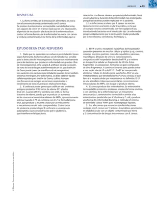 BACILLUS  e-19
©
Elsevier.
Fotocopiar
sin
autorización
es
un
delito.
ESTUDIO DE UN CASO: RESPUESTAS
1.	 Dado que los pacientes con carbunco por inhalación tienen
sepsis fulminante, los hemocultivos son el método más sensible
para la detección del microorganismo. Aunque son relativamente
pocas las bacterias que producen enfermedad con grandes cifras
de microorganismos en la sangre, B. anthracis es una excepción.
Se trata de una de las pocas enfermedades en las que la tinción
de Gram puede poner de manifiesto el microorganismo.
Los pacientes con carbunco por inhalación pueden tener también
síntomas meníngeos. Por este motivo, se debe obtener líquido
cefalorraquídeo para tinción de Gram y cultivo. Aunque
con frecuencia se recogen secreciones respiratorias, el
rendimiento de estas muestras es relativamente bajo.
2.	 B. anthracis posee genes que codifican tres proteínas:
antígeno protector (PA), factor de edema (EF) y factor
letal (LF). Cuando el PA se combina con el EF, se forma
la toxina de edema, con lo que se produce un aumento
en las concentraciones intracelulares de AMPc y posteriormente
edema. Cuando el PA se combina con el LF se forma la toxina
letal, que produce la muerte celular por un mecanismo
o mecanismos no del todo comprendidos. El otro factor
de virulencia producido por B. anthracis es una cápsula
polipeptídica que consta de ácido poli-d-glutámico,
que interfiere en la fagocitosis.
3.	 El PA se une a receptores específicos del hospedador
que están presentes en muchas células y tejidos (p. ej., cerebro,
corazón, intestino, pulmón, músculo esquelético, páncreas,
macrófagos). Después de unirse a estos receptores,
una proteasa del hospedador desdobla el PA, y se retiene
en la superficie celular un fragmento de 63 kDa. Estos
fragmentos se autoasocian, formando un poro compuesto
de siete fragmentos. A continuación este poro puede unirse
a tres moléculas de LF o de EF. El LF o EF es transportado
al interior celular en donde ejerce sus efectos. El LF es una
metaloproteasa que desdobla las MAP cinasa cinasas, lo que
lleva a la muerte celular por mecanismos no definidos. El EF
es una adenilato ciclasa que aumenta las concentraciones
intracelulares de AMPc, con lo que se produce edema.
4.	 B. cereus produce dos enterotoxinas. La enterotoxina
termoestable resistente a proteasas produce la forma emética,
o con vómitos, de la enfermedad por un mecanismo
desconocido. La enterotoxina termolábil es similar a las
enterotoxinas producidas por V. cholerae y E. coli y produce
una forma de enfermedad diarreica al estimular el sistema
de adenilato ciclasa–AMPc para hipersegregar líquidos.
5.	 Las afecciones que se asocian con las infecciones
oculares por B. cereus son 1) lesiones traumáticas penetrantes
en el globo ocular con un objeto contaminado por tierra
y 2) contaminación de drogas intravenosas con B. cereus.
RESPUESTAS
1.	La forma emética de la intoxicación alimentaria se asocia
con el consumo de arroz contaminado con B. cereus.
Se produce la enterotoxina termoestable cuando las bacterias
son capaces de crecer en el arroz. Dado que es una intoxicación,
el período de incubación y la duración de la enfermedad son
cortos. La forma diarreica de la enfermedad se asocia con carnes
y verduras contaminadas. Esta forma de la enfermedad, que se
caracteriza por diarrea, náuseas y espasmos abdominales, tiene
una incubación y duración de la enfermedad más prolongadas
porque las bacterias pueden replicarse en el paciente.
2.	Las infecciones oculares por B. cereus se asocian
típicamente con una lesión ocular traumática, en la que
un cuerpo extraño contaminado por tierra golpea el ojo,
introduciendo bacterias en el interior del ojo. La enfermedad
progresa rápidamente por la destrucción tisular producida
por la necrotoxina, cereolisina y fosfolipasa C.
 