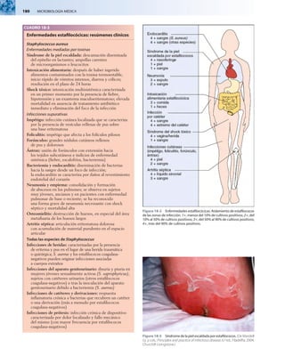 180  MICROBIOLOGÍA MÉDICA
CUADRO 18-3
Enfermedades estafilocócicas: resúmenes clínicos
Staphylococcus aureus
Enfermedades mediadas por toxinas
Síndrome de la piel escaldada: descamación diseminada
del epitelio en lactantes; ampollas carentes
de microorganismos o leucocitos
Intoxicación alimentaria: después de haber ingerido
alimentos contaminados con la toxina termoestable,
inicio rápido de vómitos intensos, diarrea y cólicos;
resolución en el plazo de 24 horas
Shock tóxico: intoxicación multisistémica caracterizada
en un primer momento por la presencia de fiebre,
hipotensión y un exantema maculoeritematoso; elevada
mortalidad en ausencia de tratamiento antibiótico
inmediato y eliminación del foco de la infección
Infecciones supurativas
Impétigo: infección cutánea localizada que se caracteriza
por la presencia de vesículas rellenas de pus sobre
una base eritematosa
Foliculitis: impétigo que afecta a los folículos pilosos
Forúnculos: grandes nódulos cutáneos rellenos
de pus y dolorosos
Ántrax: unión de forúnculos con extensión hacia
los tejidos subcutáneos e indicios de enfermedad
sistémica (fiebre, escalofríos, bacteriemia)
Bacteriemia y endocarditis: diseminación de bacterias
hacia la sangre desde un foco de infección;
la endocarditis se caracteriza por daños al revestimiento
endotelial del corazón
Neumonía y empiema: consolidación y formación
de abscesos en los pulmones; se observa en sujetos
muy jóvenes, ancianos y en pacientes con enfermedad
pulmonar de base o reciente; se ha reconocido
una forma grave de neumonía necrosante con shock
séptico y mortalidad alta
Osteomielitis: destrucción de huesos, en especial del área
metafisaria de los huesos largos
Artritis séptica: articulación eritematosa dolorosa
con acumulación de material purulento en el espacio
articular
Todas las especies de Staphylococcus
Infecciones de heridas: caracterizadas por la presencia
de eritema y pus en el lugar de una herida traumática
o quirúrgica; S. aureus y los estafilococos coagulasa-
negativos pueden originar infecciones asociadas
a cuerpos extraños
Infecciones del aparato genitourinario: disuria y piuria en
mujeres jóvenes sexualmente activas (S. saprophyticus),
sujetos con catéteres urinarios (otros estafilococos
coagulasa-negativos) o tras la inoculación del aparato
genitourinario debido a bacteriemia (S. aureus)
Infecciones de catéteres y derivaciones: respuesta
inflamatoria crónica a bacterias que recubren un catéter
o una derivación (más a menudo por estafilococos
coagulasa-negativos)
Infecciones de prótesis: infección crónica de dispositivo
caracterizada por dolor localizado y fallo mecánico
del mismo (con mayor frecuencia por estafilococos
coagulasa-negativos)
Figura18-3  Síndrome de la piel escaldada por estafilococos. (De Mandell
GL y cols.: Principles and practice of infectious disease, 6.ª ed., Filadelfia, 2004,
Churchill Livingstone.)
Figura 18-2  Enfermedades estafilocócicas. Aislamiento de estafilococos
de las zonas de infección. 1+, menos del 10% de cultivos positivos; 2+, del
10% al 50% de cultivos positivos; 3+, del 50% al 90% de cultivos positivos;
4+, más del 90% de cultivos positivos.
 