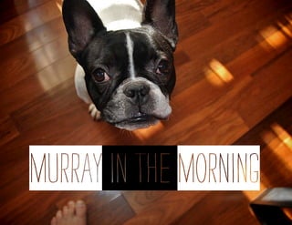murray_in_the_morning
 
