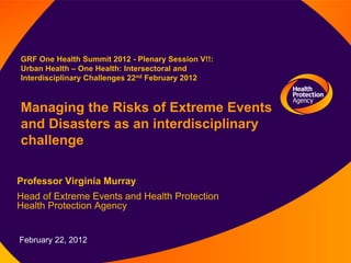GRF One Health Summit 2012 - Plenary Session V!!:
Urban Health – One Health: Intersectoral and
Interdisciplinary Challenges 22nd February 2012



Managing the Risks of Extreme Events
and Disasters as an interdisciplinary
challenge

Professor Virginia Murray
Head of Extreme Events and Health Protection
Health Protection Agency


February 22, 2012
 