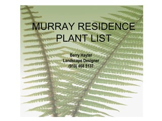 MURRAY RESIDENCE PLANT LIST Berry Hayter Landscape Designer (919) 468 5137 