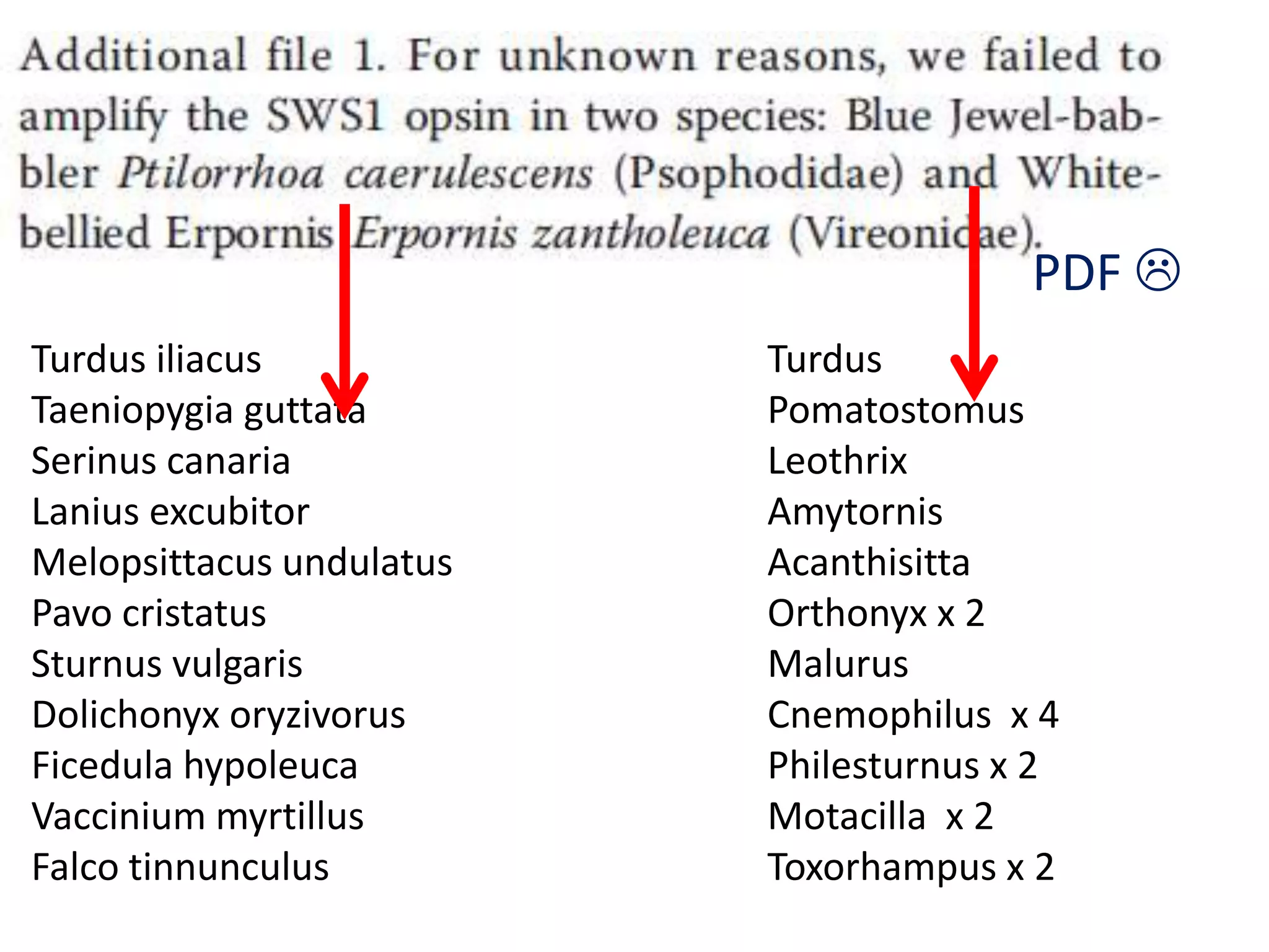 PDF 
Turdus iliacus
Taeniopygia guttata
Serinus canaria
Lanius excubitor
Melopsittacus undulatus
Pavo cristatus
Sturnus vulgaris
Dolichonyx oryzivorus
Ficedula hypoleuca
Vaccinium myrtillus
Falco tinnunculus

Turdus
Pomatostomus
Leothrix
Amytornis
Acanthisitta
Orthonyx x 2
Malurus
Cnemophilus x 4
Philesturnus x 2
Motacilla x 2
Toxorhampus x 2

 
