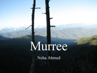Murree Neha Ahmed 