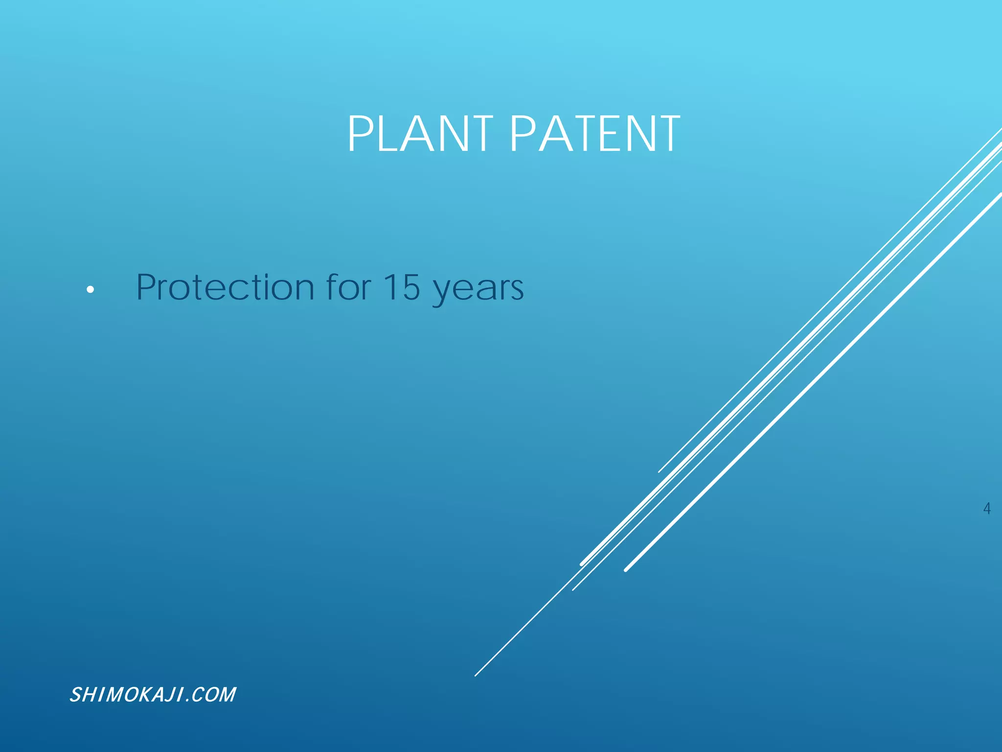 PLANT PATENT
• Protection for 15 years
4
SHIMOKAJI.COM
 