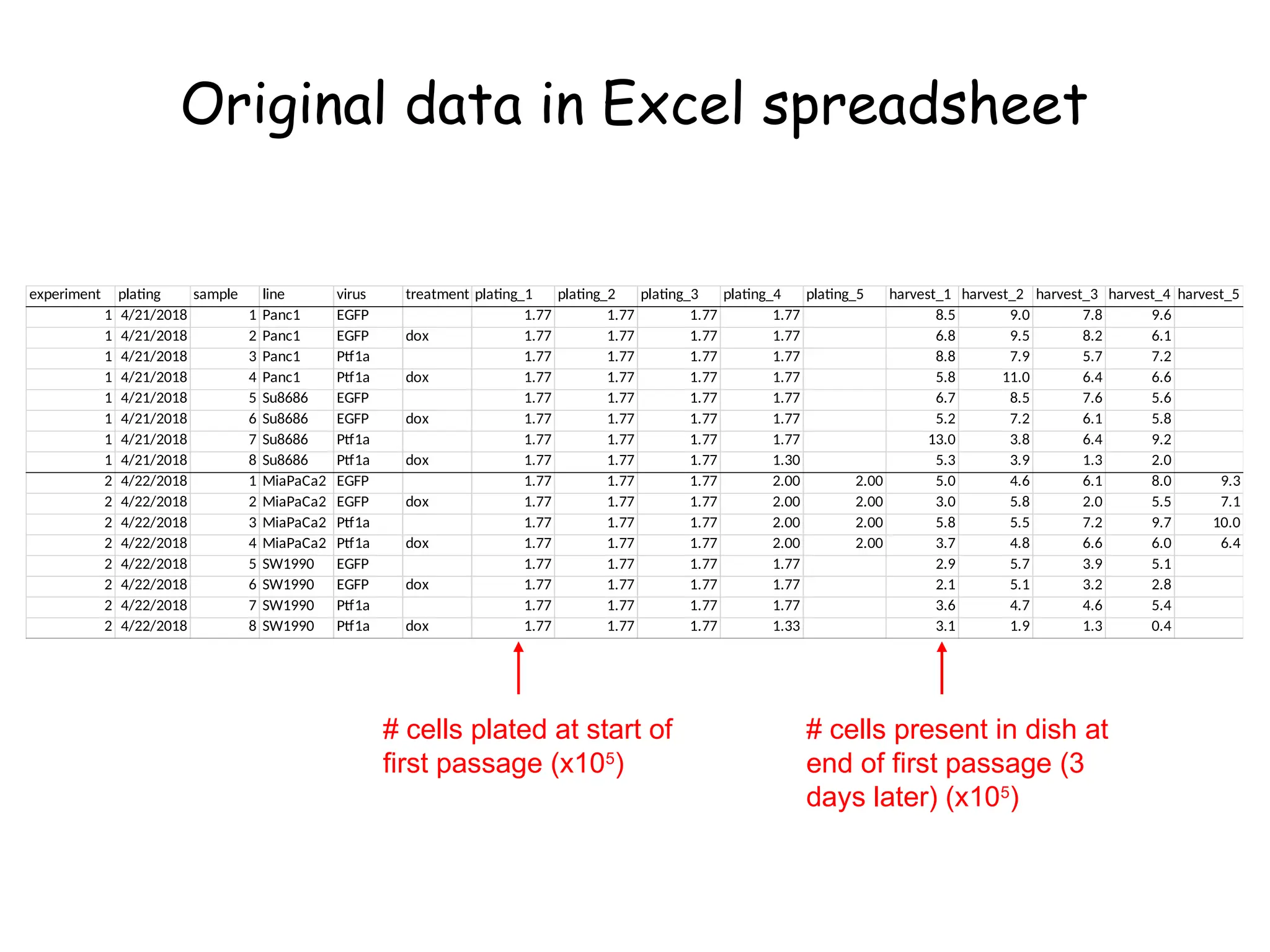 Original data in Excel spreadsheet
experiment plating sample line virus treatment plating_1 plating_2 plating_3 plating_4 plating_5 harvest_1 harvest_2 harvest_3 harvest_4 harvest_5
1 4/21/2018 1 Panc1 EGFP 1.77 1.77 1.77 1.77 8.5 9.0 7.8 9.6
1 4/21/2018 2 Panc1 EGFP dox 1.77 1.77 1.77 1.77 6.8 9.5 8.2 6.1
1 4/21/2018 3 Panc1 Ptf1a 1.77 1.77 1.77 1.77 8.8 7.9 5.7 7.2
1 4/21/2018 4 Panc1 Ptf1a dox 1.77 1.77 1.77 1.77 5.8 11.0 6.4 6.6
1 4/21/2018 5 Su8686 EGFP 1.77 1.77 1.77 1.77 6.7 8.5 7.6 5.6
1 4/21/2018 6 Su8686 EGFP dox 1.77 1.77 1.77 1.77 5.2 7.2 6.1 5.8
1 4/21/2018 7 Su8686 Ptf1a 1.77 1.77 1.77 1.77 13.0 3.8 6.4 9.2
1 4/21/2018 8 Su8686 Ptf1a dox 1.77 1.77 1.77 1.30 5.3 3.9 1.3 2.0
2 4/22/2018 1 MiaPaCa2 EGFP 1.77 1.77 1.77 2.00 2.00 5.0 4.6 6.1 8.0 9.3
2 4/22/2018 2 MiaPaCa2 EGFP dox 1.77 1.77 1.77 2.00 2.00 3.0 5.8 2.0 5.5 7.1
2 4/22/2018 3 MiaPaCa2 Ptf1a 1.77 1.77 1.77 2.00 2.00 5.8 5.5 7.2 9.7 10.0
2 4/22/2018 4 MiaPaCa2 Ptf1a dox 1.77 1.77 1.77 2.00 2.00 3.7 4.8 6.6 6.0 6.4
2 4/22/2018 5 SW1990 EGFP 1.77 1.77 1.77 1.77 2.9 5.7 3.9 5.1
2 4/22/2018 6 SW1990 EGFP dox 1.77 1.77 1.77 1.77 2.1 5.1 3.2 2.8
2 4/22/2018 7 SW1990 Ptf1a 1.77 1.77 1.77 1.77 3.6 4.7 4.6 5.4
2 4/22/2018 8 SW1990 Ptf1a dox 1.77 1.77 1.77 1.33 3.1 1.9 1.3 0.4
# cells plated at start of
first passage (x105
)
# cells present in dish at
end of first passage (3
days later) (x105
)
 