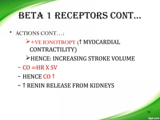 BETA 1 RECEPTORS CONT…
• ACTIONS CONT…:
+VE IONOTROPY (↑ MYOCARDIAL
CONTRACTILITY)
HENCE: INCREASING STROKE VOLUME
– CO =HR X SV
– HENCE CO ↑
– ↑ RENIN RELEASE FROM KIDNEYS
10
 