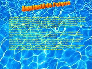 Una  planta depuradora ,  estació depuradora  o  EDAR  (estació depuradora d'aigües residuals) és una instal·lació on l' aigua  bruta és sotmesa a un procés en el qual, per mitjà de la combinació de diversos tractaments físics, químics i/o biològics, s'eliminen la matèria en suspensió i les substàncies dissoltes. L'aigua obtinguda no és suficientment pura per a beure, però si per a retornar al riu sense malmetre'l. Per a preparar l'aigua pel consum humà, ens cal una planta  potabilitzadora . Hi ha diferents tipus de depuradores: Depuradores físiques: S'utilitzen processos físics i químics per a netejar l'aigua.  Depuradores biològiques: A més dels processos físics i químics, s'utilitzen éssers vius ( bacteris ) per a millorar la depuració de l'aigua.  Les activitats humanes embruten l'aigua. Quan et rentes les mans, estàs utilitzant detergents que contaminen l'aigua. El mateix podem dir de les altres activitats o funcions de la llar, rentar els plats, rentar roba, regar plantes, etc. L'aigua que es deixa anar al clavegueram conté substàncies contaminants i residus orgànics i, per això, ha de ser netejada abans d'entrar al mar, a rius, etc. Totes aquestes activitats es realitzen a les  plantes depuradores . Depuració de l'aigua 