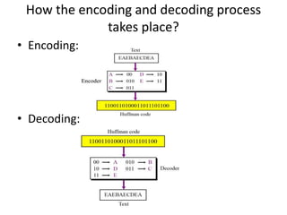 image basics and image compression | PPTX