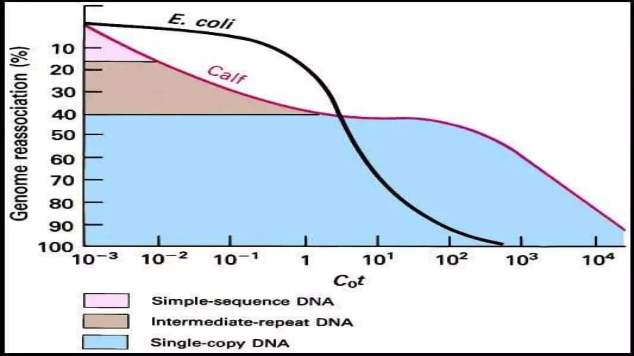 C VALUE, C VALUE PARADOX , COT CURVE ANALYSIS.pptx