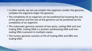 • In other words, we can say simpler the organism smaller the genome,
complex the organism larger the genome.
• The complexity of an organism can be predicted by knowing the size
of the genome and the size of the genome can be predicted by the
complexity of an organism.
• The eukaryotic genome consists of two parts, coding DNA and non
Coding DNA. Coding DNA is a protein synthesizing DNA and non-
coding DNA is present in multiple copies.
• The human genome consists of 2% of Coding DNA and 98% non
Coding DNA.
 