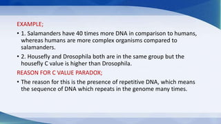 EXAMPLE;
• 1. Salamanders have 40 times more DNA in comparison to humans,
whereas humans are more complex organisms compared to
salamanders.
• 2. Housefly and Drosophila both are in the same group but the
housefly C value is higher than Drosophila.
REASON FOR C VALUE PARADOX;
• The reason for this is the presence of repetitive DNA, which means
the sequence of DNA which repeats in the genome many times.
 