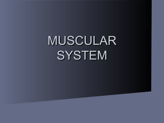 MUSCULAR
SYSTEM

 