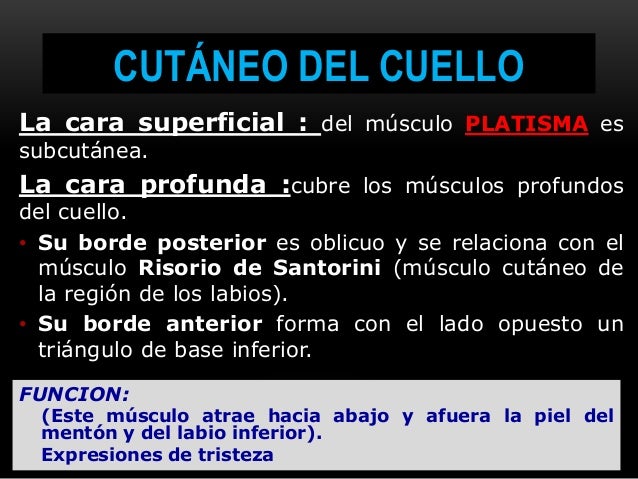 Duele a la razón de la espalda