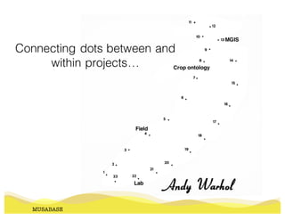 Connecting dots between and
within projects…
MUSABASE
Field
Lab
MGIS
Crop ontology
 