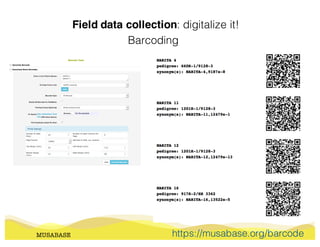 Field data collection: digitalize it!
MUSABASE
Barcoding
https://musabase.org/barcode
 