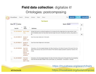 Field data collection: digitalize it!
MUSABASE
Ontologies: postcomposing
https://musabase.org/tools/compose
https://musabase.org/search/traits
 