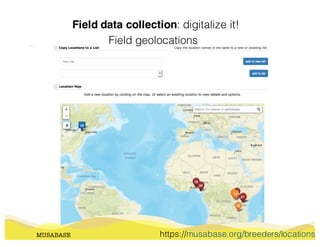 Field data collection: digitalize it!
MUSABASE
Field geolocations
https://musabase.org/breeders/locations
 